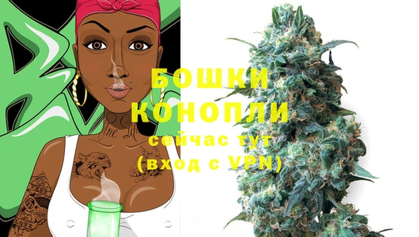 ECSTASY Бронницы