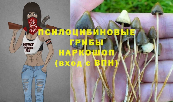 ECSTASY Бронницы