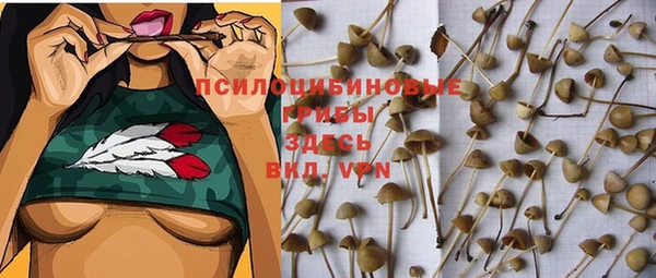 таблы Бородино