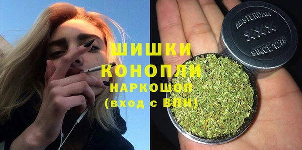 таблы Бородино