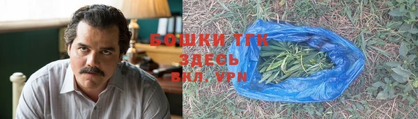 таблы Бородино