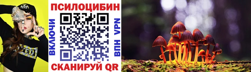 наркота  Шимановск  ссылка на мегу сайт  Галлюциногенные грибы Magic Shrooms 